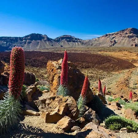 Aparthotel Pierre & Marazul Del Sur 4*