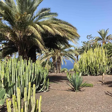 Pierre & Marazul Del Sur