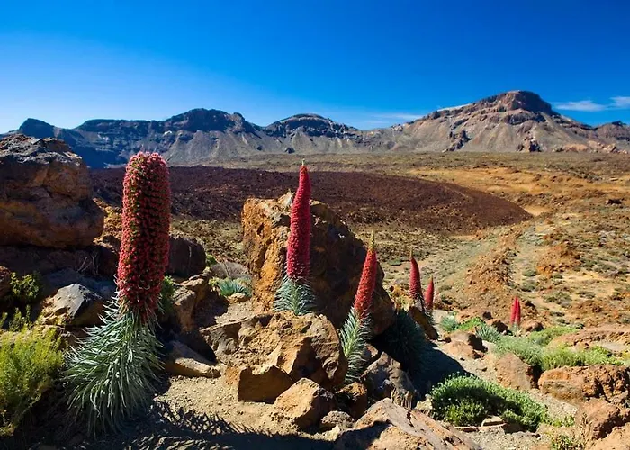 Apartahotel Résidence Pierre&vacances Marazul Del Sur 4*