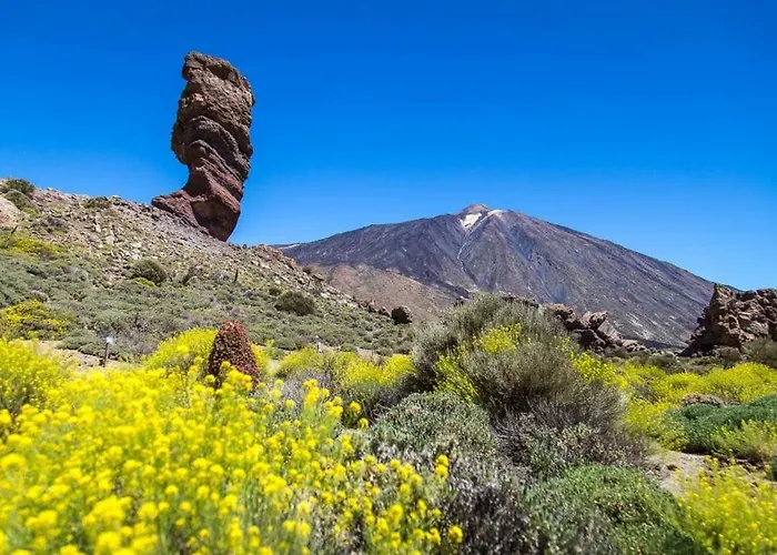Résidence Pierre&vacances Marazul Del Sur