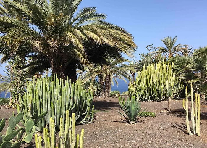 Résidence Pierre&vacances Marazul Del Sur