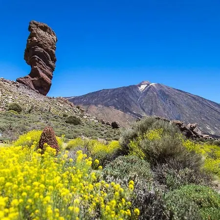 Résidence Pierre&vacances Marazul Del Sur